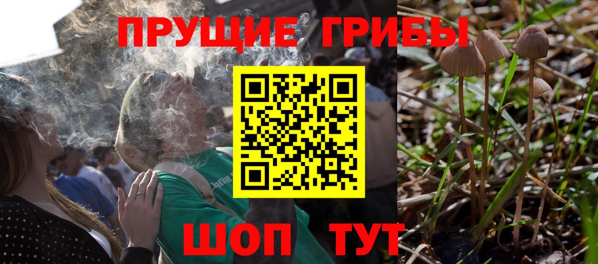 Прохладный  Галлюциногенные грибы мицелий  Вход с VPN 